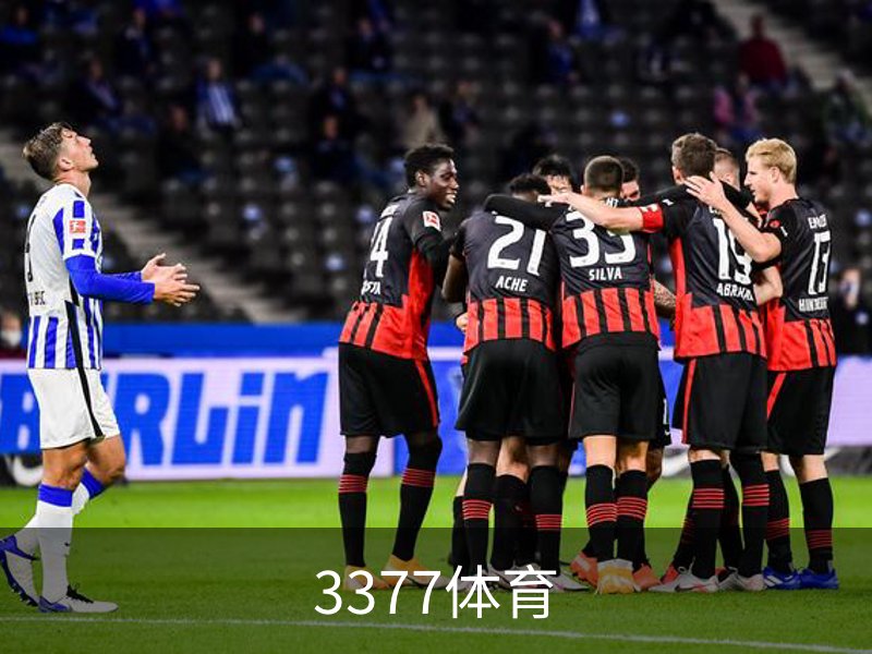 3377体育(中国)官方网站-3377SPORTS